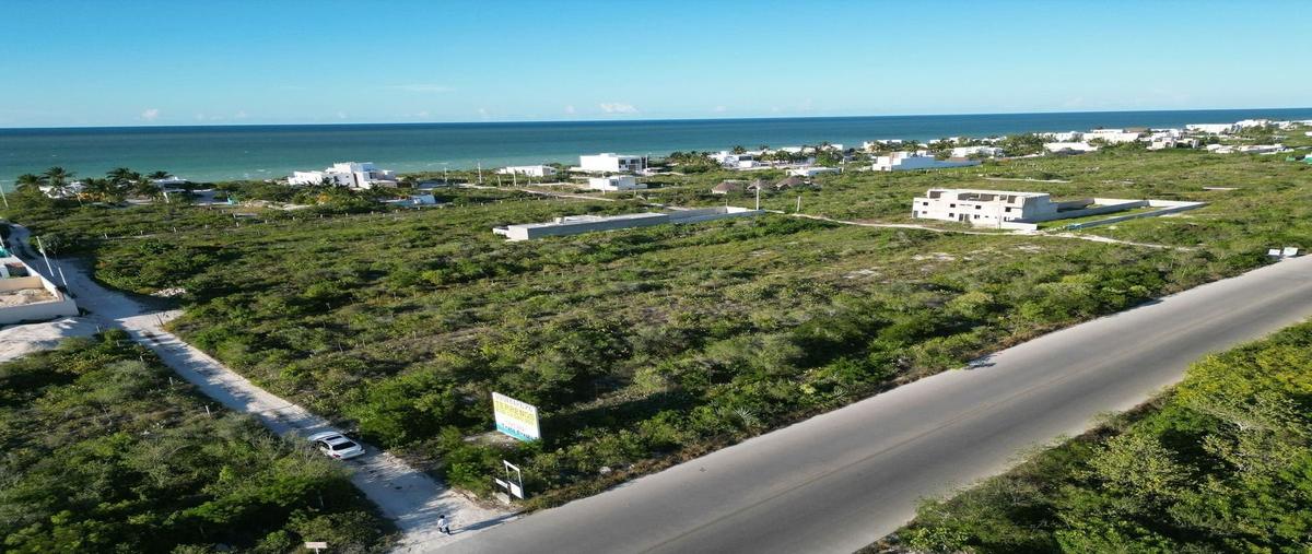 Foto de terreno habitacional en , san diego, dzemul, yucatán, 0 foto 01 Foto de terreno habitacional en venta en , san diego, dzemul, yucatán, 0 No. 01