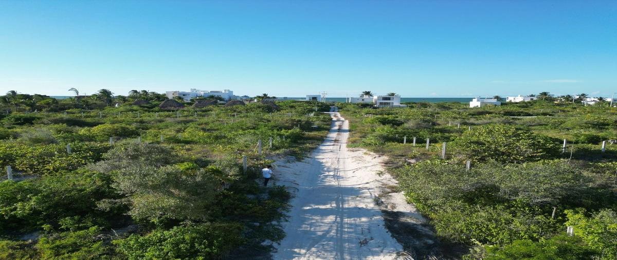 Foto de terreno habitacional en , san diego, dzemul, yucatán, 0 foto 02 Foto de terreno habitacional en venta en , san diego, dzemul, yucatán, 0 No. 02