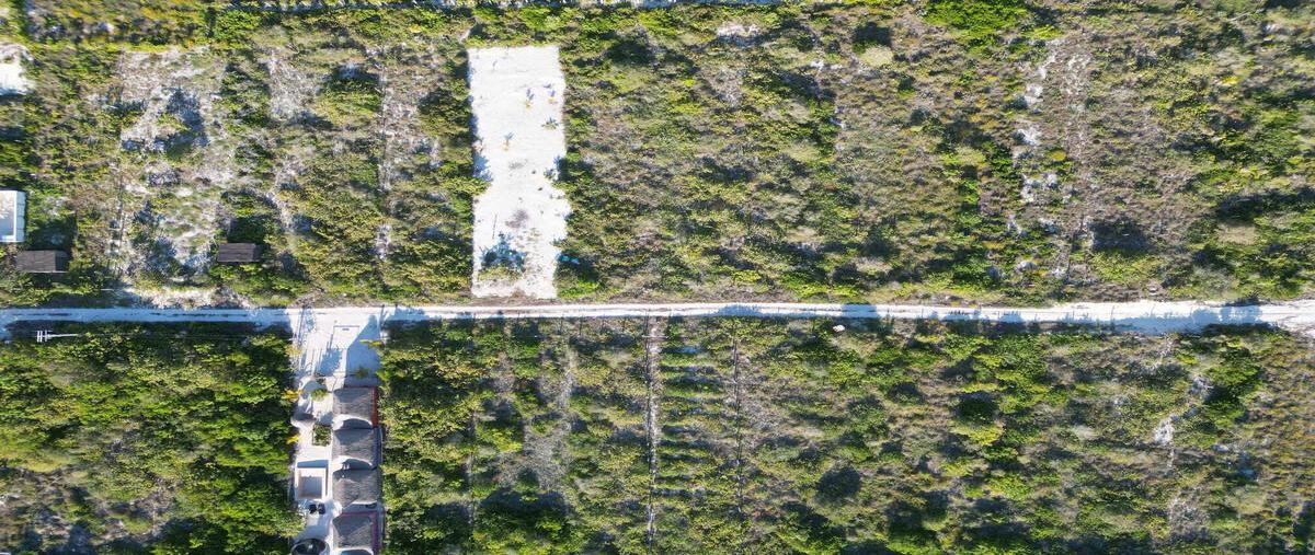 Foto de terreno habitacional en , san diego, dzemul, yucatán, 0 foto 03 Foto de terreno habitacional en venta en , san diego, dzemul, yucatán, 0 No. 03