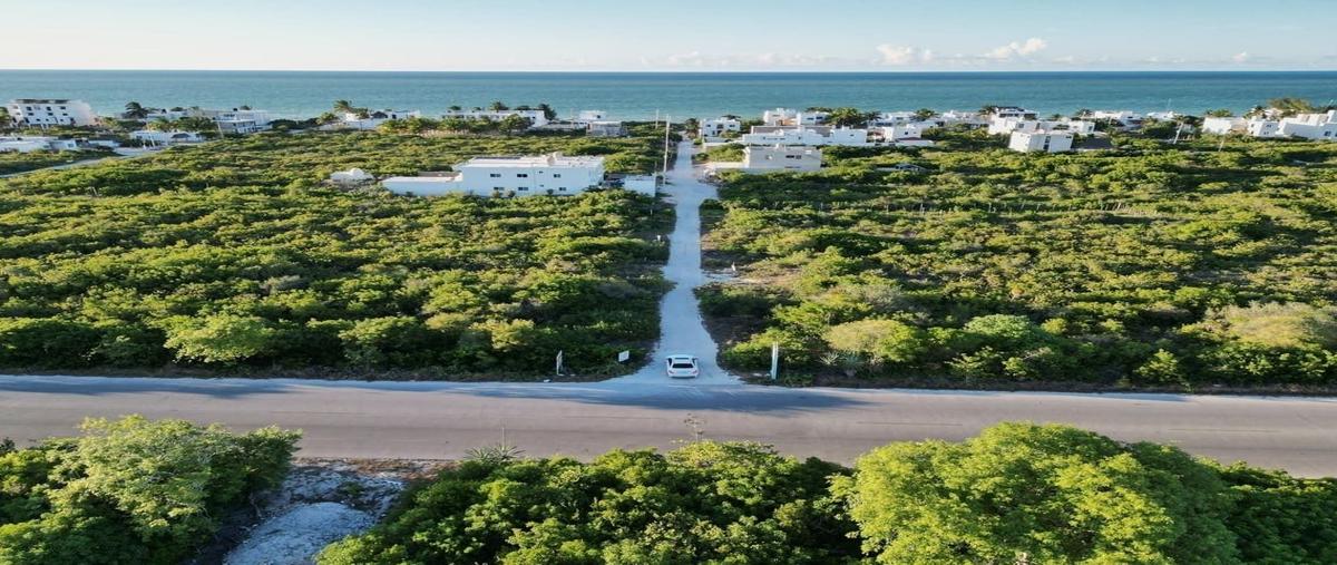 Foto de terreno habitacional en , san diego, dzemul, yucatán, 0 foto 04 Foto de terreno habitacional en venta en , san diego, dzemul, yucatán, 0 No. 04