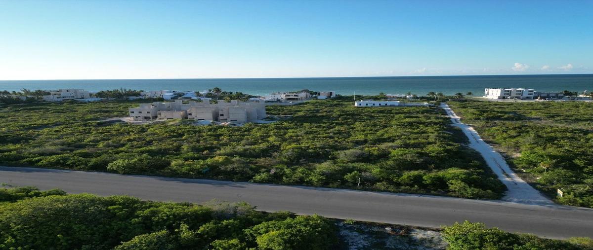 Foto de terreno habitacional en , san diego, dzemul, yucatán, 0 foto 05 Foto de terreno habitacional en venta en , san diego, dzemul, yucatán, 0 No. 05