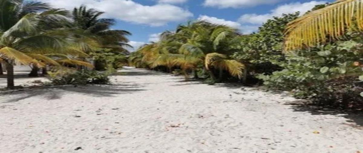 Foto de terreno habitacional en venta en  , san diego, dzemul, yucatán, 30103282 No. 13