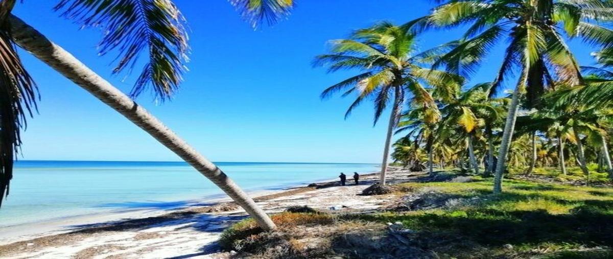 Foto de terreno habitacional en venta en  , san diego, dzemul, yucatán, 0 No. 04