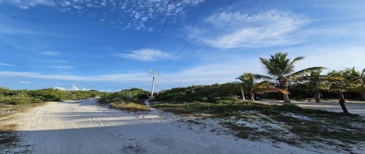 Foto de terreno habitacional en venta en  , san diego, dzemul, yucatán, 0 No. 03