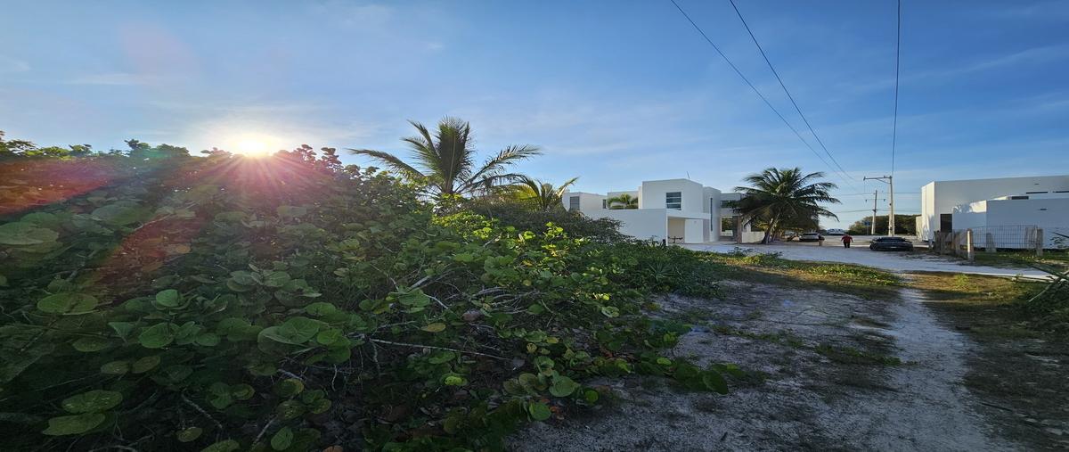 Foto de terreno habitacional en venta en  , san diego, dzemul, yucatán, 0 No. 04