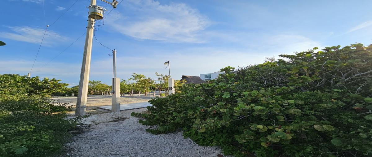 Foto de terreno habitacional en venta en  , san diego, dzemul, yucatán, 0 No. 05