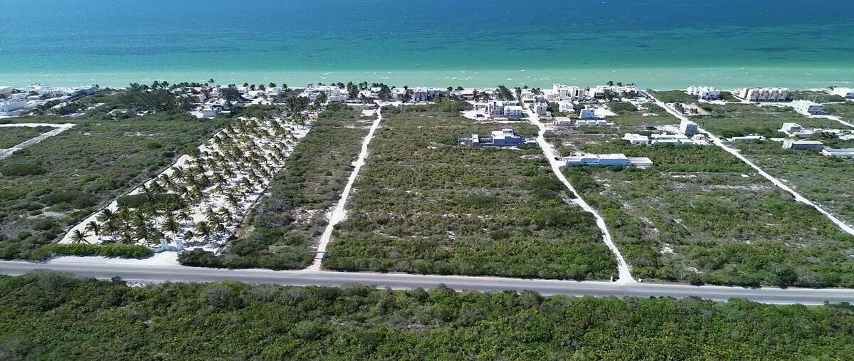 Foto de terreno habitacional en venta en  , san diego, dzemul, yucatán, 0 No. 03