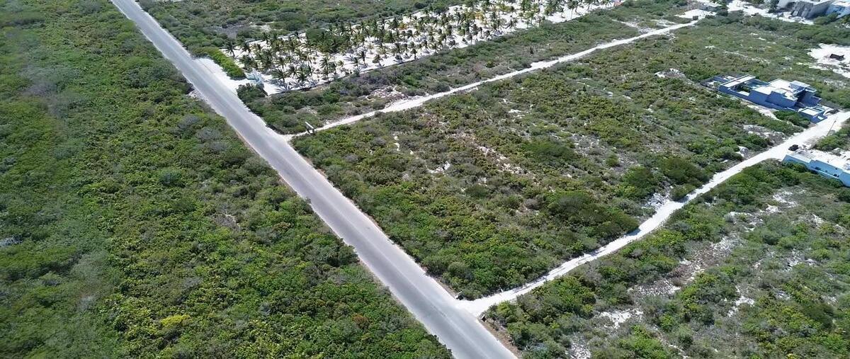 Foto de terreno habitacional en venta en  , san diego, dzemul, yucatán, 0 No. 05