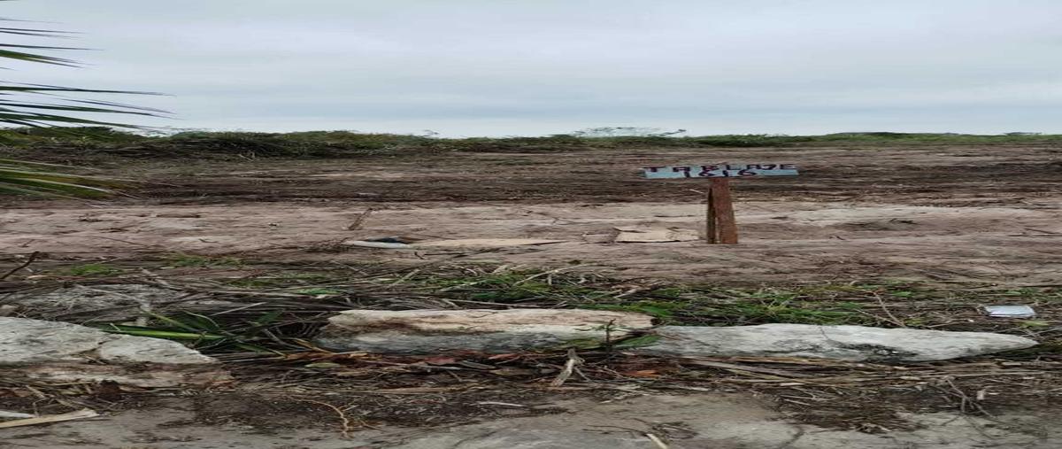 Foto de terreno habitacional en venta en  , san diego, dzemul, yucatán, 0 No. 04