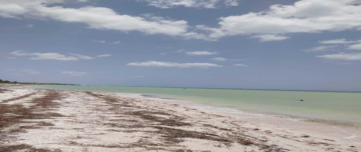 Foto de terreno habitacional en venta en  , san diego, dzemul, yucatán, 0 No. 05