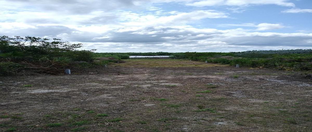 Foto de terreno habitacional en venta en  , san diego, dzemul, yucatán, 0 No. 03