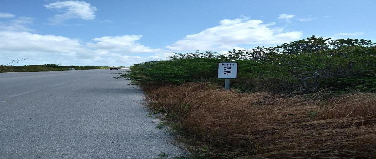 Foto de terreno habitacional en venta en  , san diego, dzemul, yucatán, 0 No. 04