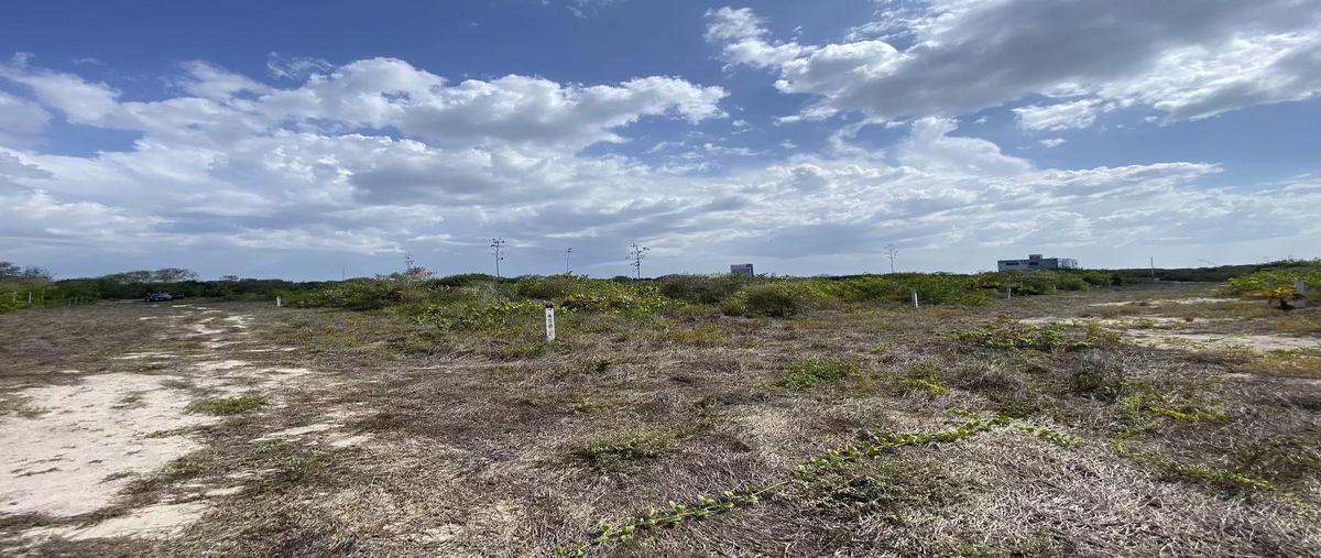 Foto de terreno habitacional en venta en  , san diego, dzemul, yucatán, 30525942 No. 03