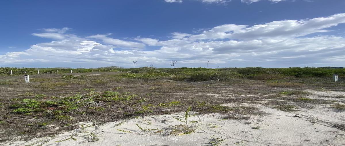 Foto de terreno habitacional en venta en  , san diego, dzemul, yucatán, 30525942 No. 05