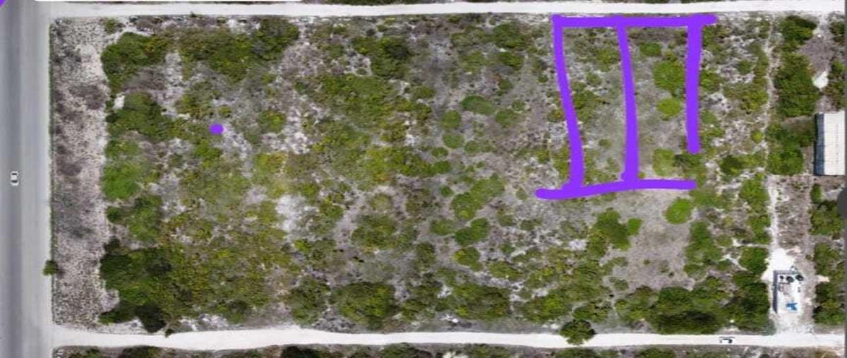 Foto de terreno habitacional en venta en  , san diego, dzemul, yucatán, 0 No. 03