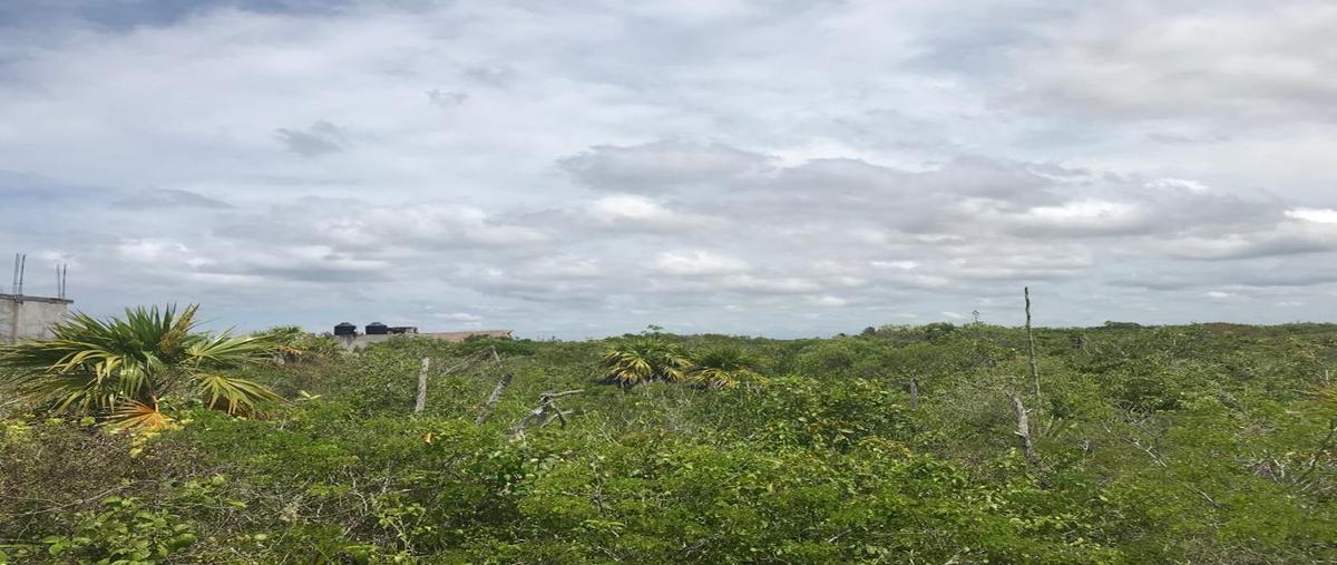 Foto de terreno habitacional en venta en  , san diego, dzemul, yucatán, 0 No. 04