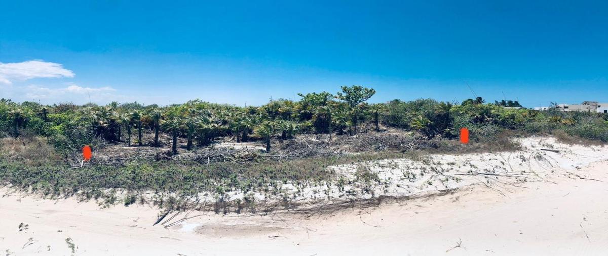 Foto de terreno habitacional en , san diego, dzemul, yucatán, 0 foto 01 Foto de terreno habitacional en venta en , san diego, dzemul, yucatán, 0 No. 01