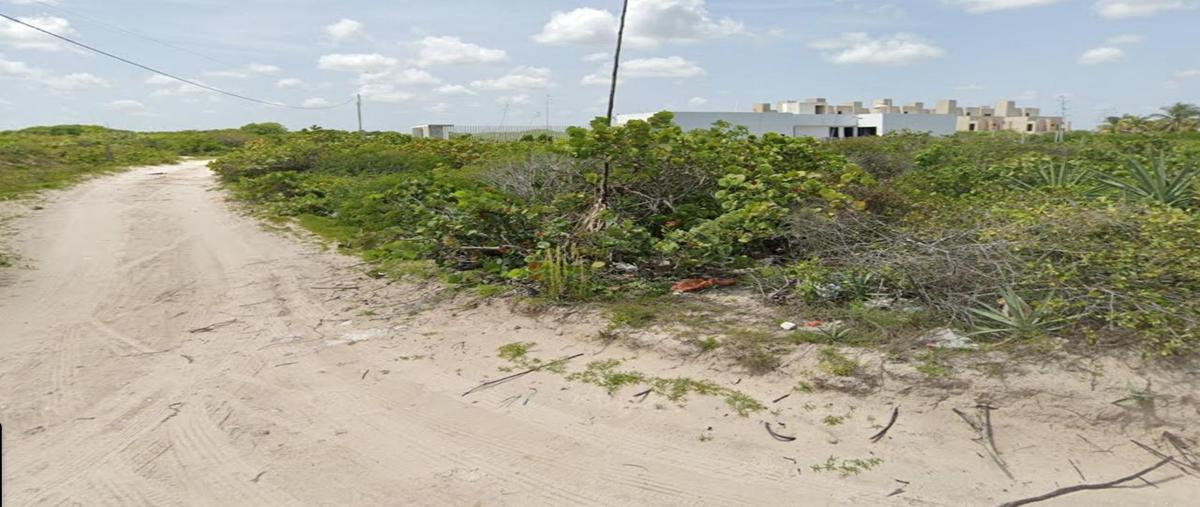 Foto de terreno habitacional en , san diego, dzemul, yucatán, 0 foto 03 Foto de terreno habitacional en venta en , san diego, dzemul, yucatán, 0 No. 03