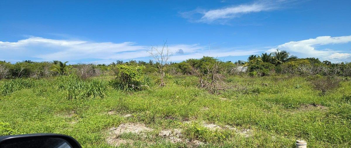 Foto de terreno habitacional en venta en  , san diego, dzemul, yucatán, 0 No. 04