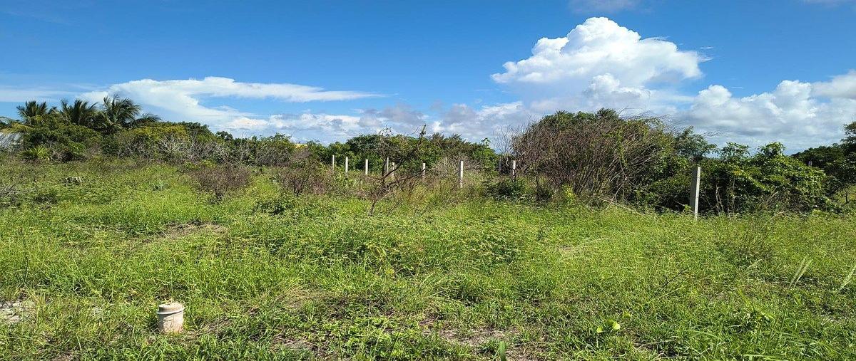 Foto de terreno habitacional en venta en  , san diego, dzemul, yucatán, 30935309 No. 05