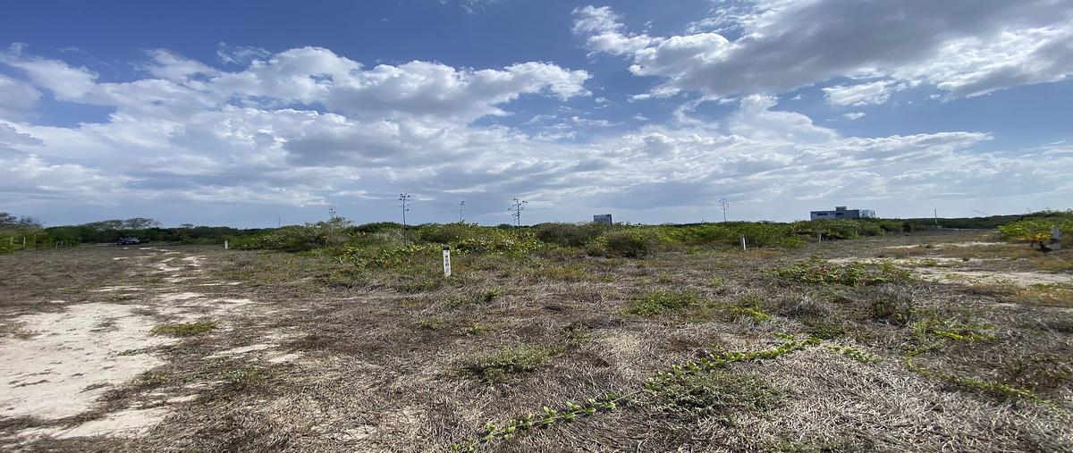 Foto de terreno habitacional en venta en . , san diego, dzemul, yucatán, 0 No. 03
