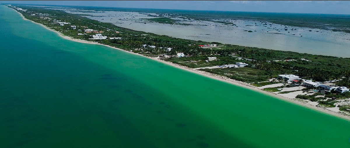 Foto de terreno habitacional en venta en  , san diego, dzemul, yucatán, 0 No. 03