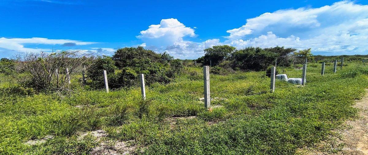 Foto de terreno habitacional en venta en  , san diego, dzemul, yucatán, 0 No. 04