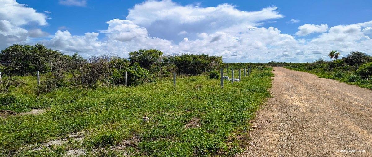 Foto de terreno habitacional en venta en  , san diego, dzemul, yucatán, 0 No. 05