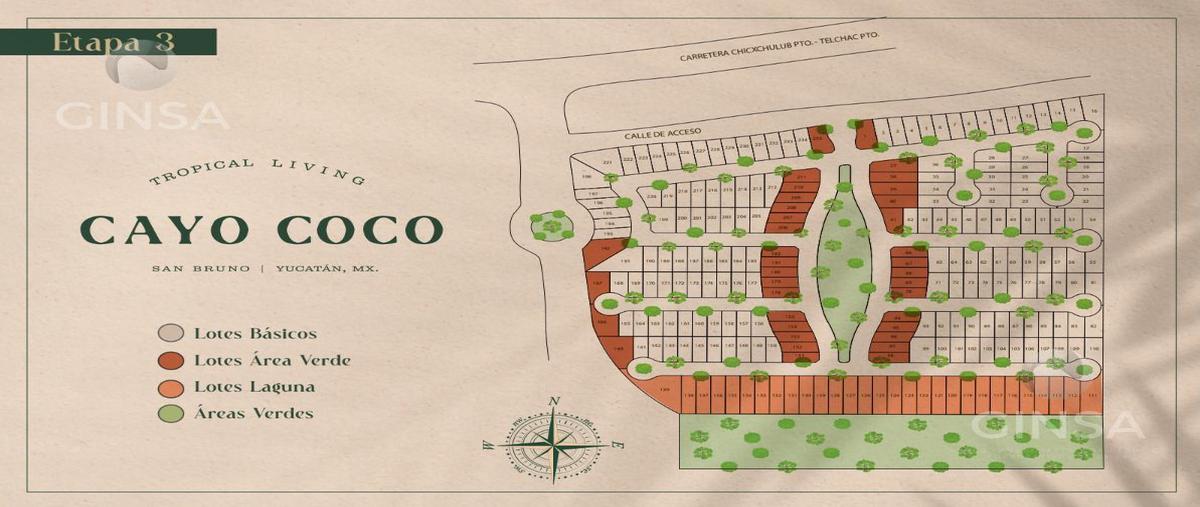 Foto de terreno habitacional en venta en  , san diego, dzemul, yucatán, 0 No. 05