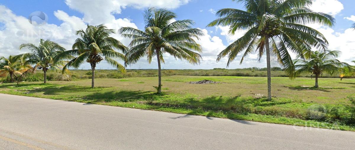 Foto de terreno habitacional en venta en  , san diego, dzemul, yucatán, 0 No. 03