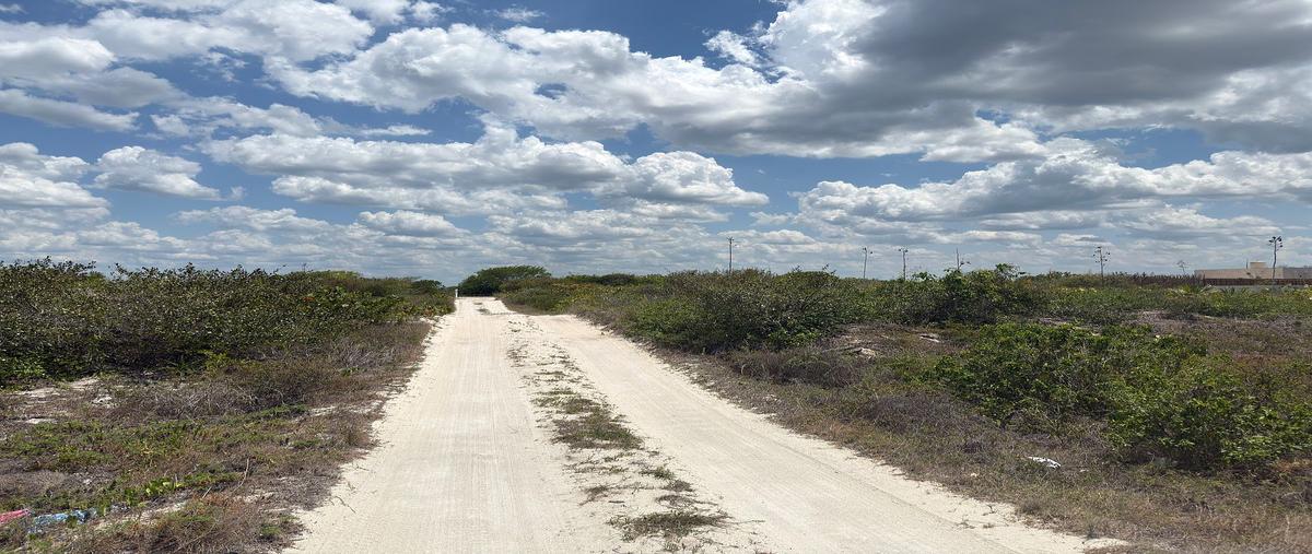 Foto de terreno habitacional en venta en  , san diego, dzemul, yucatán, 0 No. 03