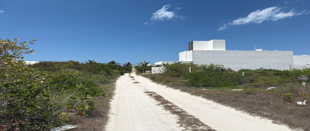Foto de terreno habitacional en venta en  , san diego, dzemul, yucatán, 0 No. 04