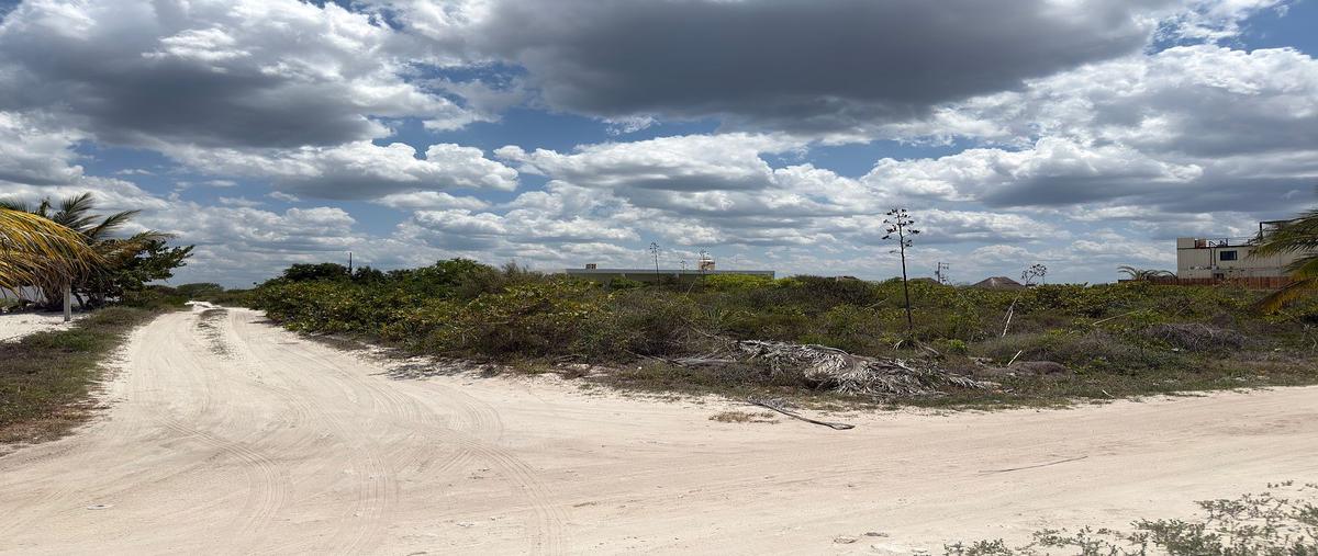 Foto de terreno habitacional en venta en  , san diego, dzemul, yucatán, 0 No. 05
