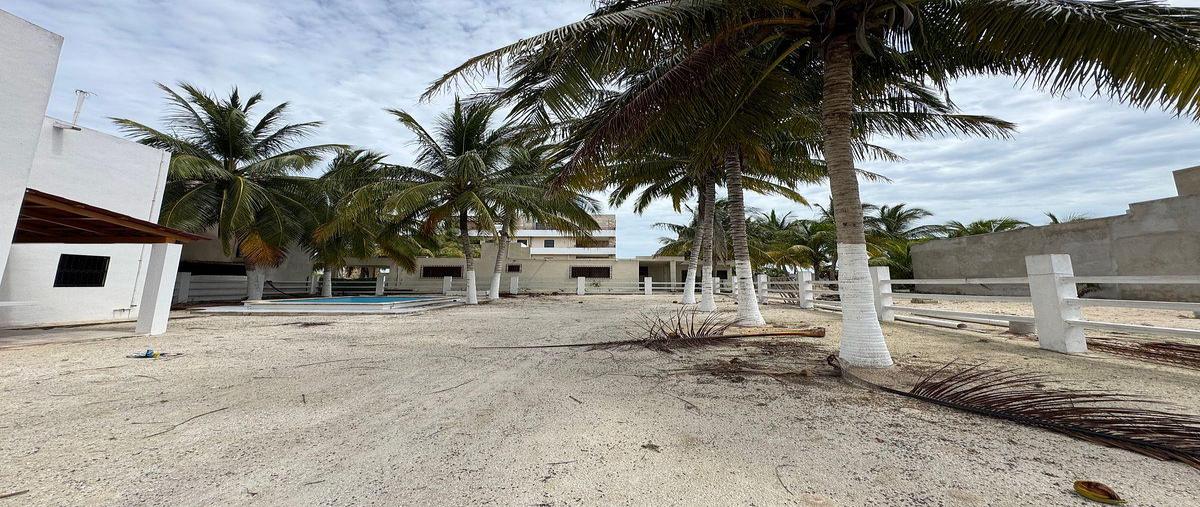 Foto de terreno habitacional en , san diego, dzemul, yucatán, 0 foto 01 Foto de terreno habitacional en venta en , san diego, dzemul, yucatán, 0 No. 01