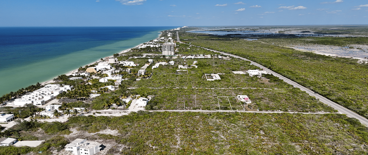 Foto de terreno habitacional en venta en  , san diego, dzemul, yucatán, 0 No. 03