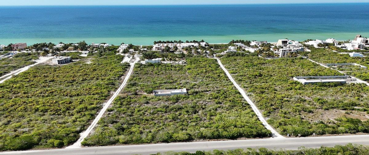 Foto de terreno habitacional en venta en  , san diego, dzemul, yucatán, 0 No. 05