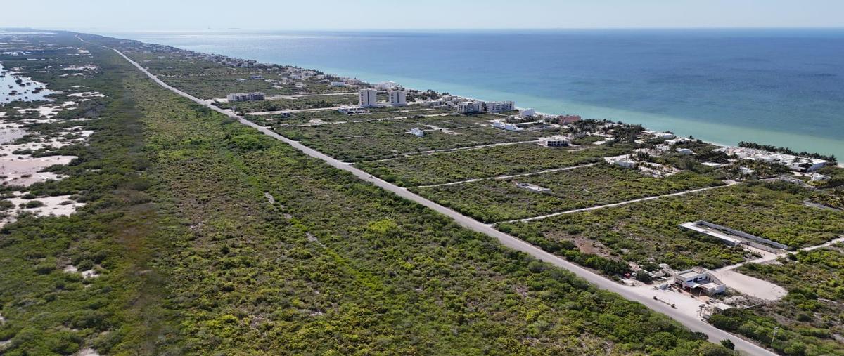 Foto de terreno habitacional en venta en  , san diego, dzemul, yucatán, 0 No. 03