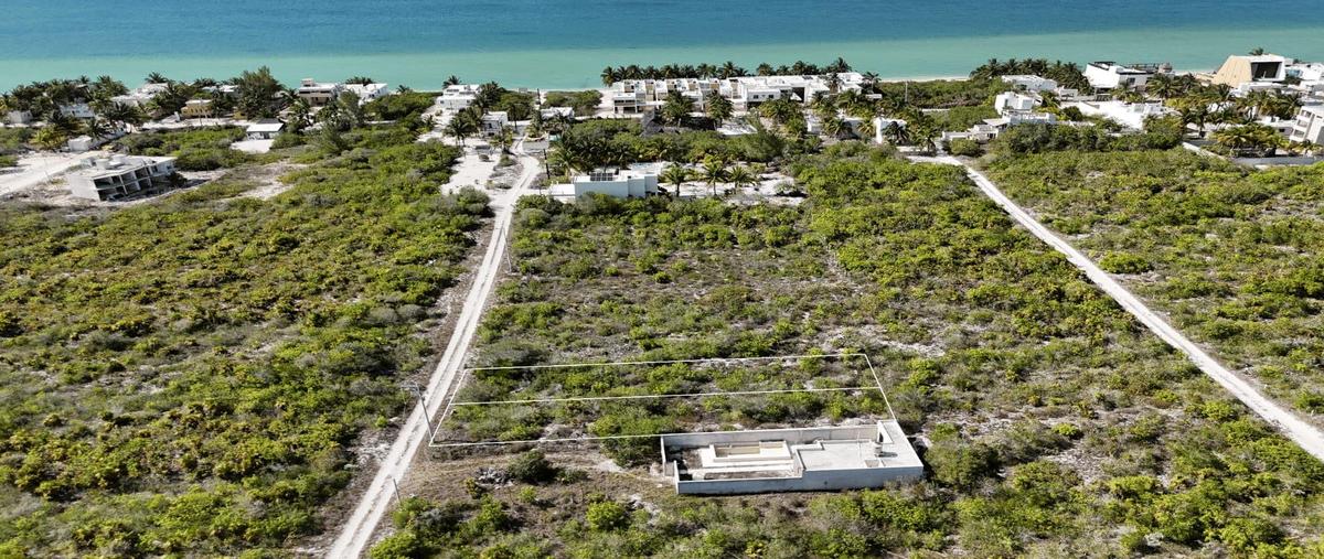 Foto de terreno habitacional en venta en  , san diego, dzemul, yucatán, 0 No. 05