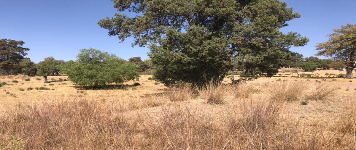 Foto de terreno habitacional en venta en  , san dionisio yauhquemehcan, yauhquemehcan, tlaxcala, 0 No. 04