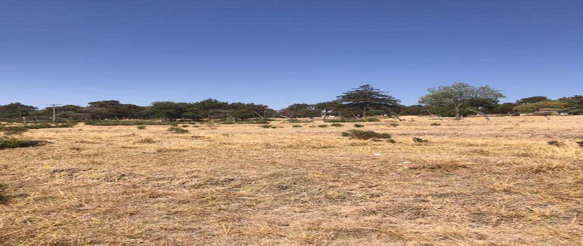 Foto de terreno habitacional en venta en  , san dionisio yauhquemehcan, yauhquemehcan, tlaxcala, 0 No. 05