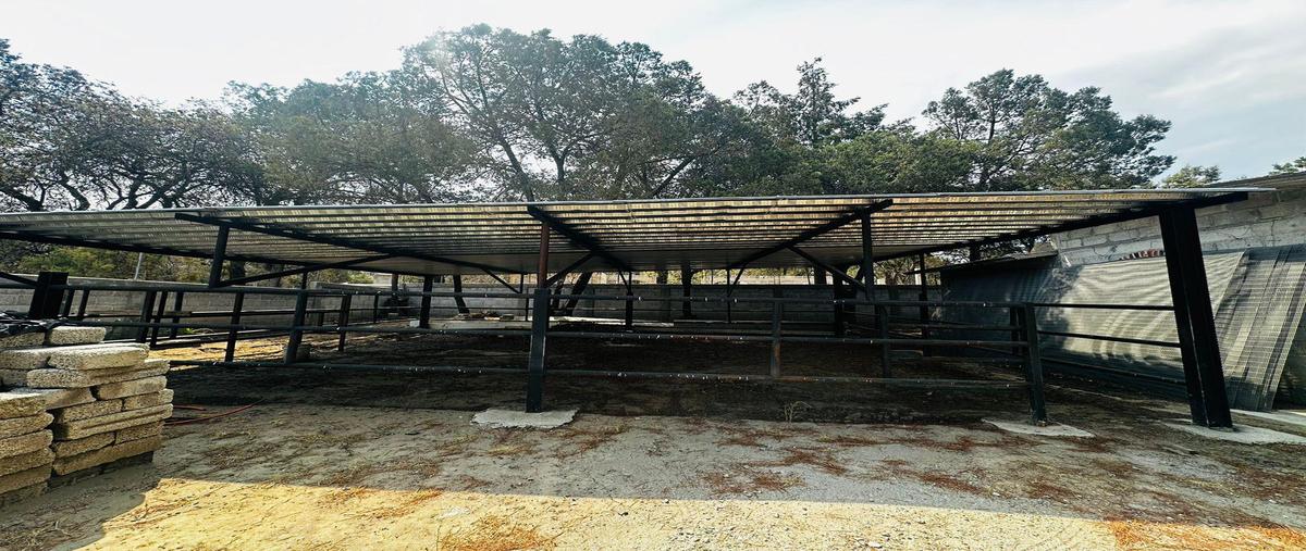 Foto de rancho en renta en  , san dionisio yauhquemehcan, yauhquemehcan, tlaxcala, 30187828 No. 02
