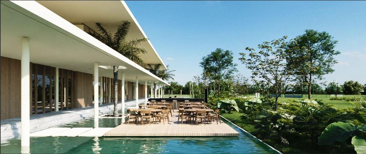 Foto de terreno habitacional en , san eduardo, telchac pueblo, yucatán, 24601658 foto 01 Foto de terreno habitacional en venta en , san eduardo, telchac pueblo, yucatán, 24601658 No. 01