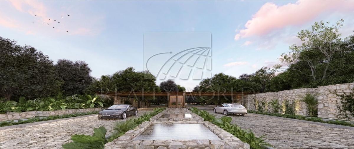 Foto de terreno habitacional en venta en  , san eduardo, telchac pueblo, yucatán, 29302084 No. 03