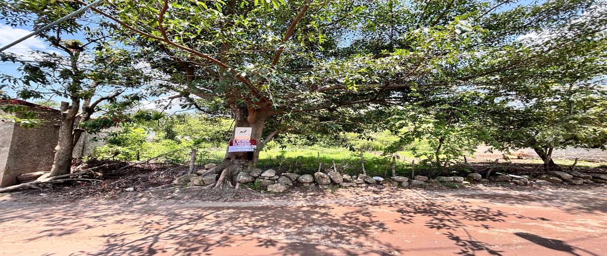 Foto de terreno habitacional en venta en  , san esteban, zapopan, jalisco, 0 No. 03