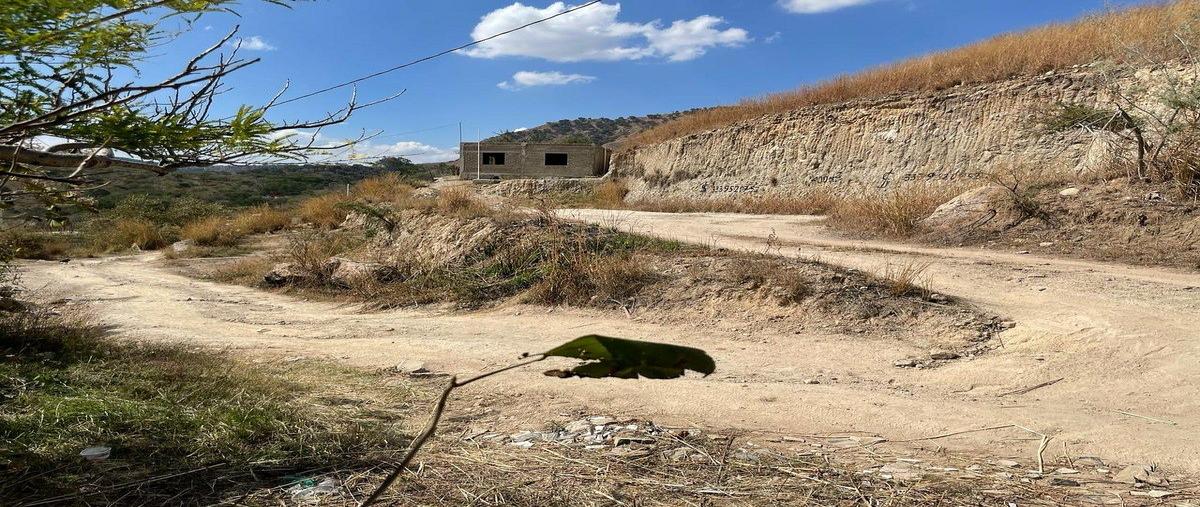 Foto de terreno habitacional en venta en  , san esteban, zapopan, jalisco, 31083249 No. 04