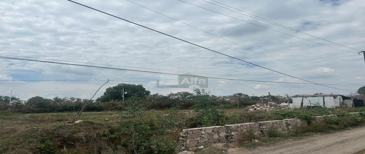 Foto de terreno habitacional en renta en san felipe 2, san miguel tocuila, texcoco, méxico, 29962926 No. 04