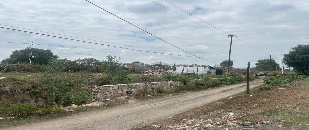 Foto de terreno habitacional en renta en san felipe 2, san miguel tocuila, texcoco, méxico, 29962926 No. 05