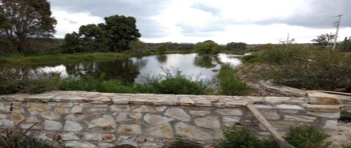Foto de terreno habitacional en venta en  , san felipe centro, san felipe, guanajuato, 0 No. 05