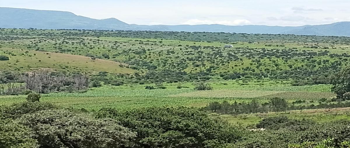 Foto de rancho en , san felipe centro, san felipe, guanajuato, 0 foto 03 Foto de rancho en venta en , san felipe centro, san felipe, guanajuato, 0 No. 03