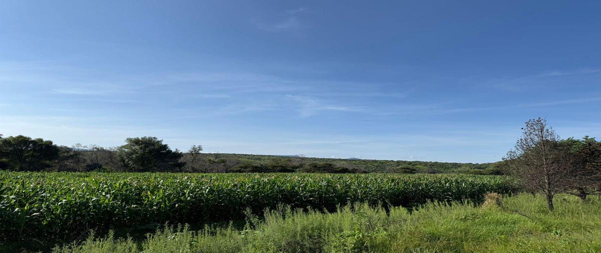 Foto de rancho en , san felipe centro, san felipe, guanajuato, 0 foto 05 Foto de rancho en venta en , san felipe centro, san felipe, guanajuato, 0 No. 05